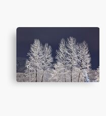 Frozen Nightscape Canvas Print