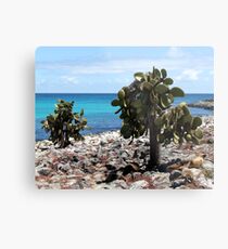 Plaza's Island Metal Print
