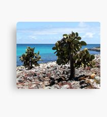 Plaza's Island Canvas Print