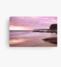 Jenny Dixon - Pretty in pink iii Canvas Print