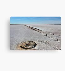 Salt Canvas Print