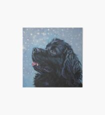 Newfoundland Dog Fine Art Painting Art Board