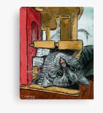 Daisy Playing Canvas Print