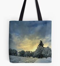 Something Big In The Air Tote Bag