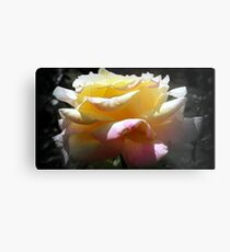 Dreaming of Summer Metal Print