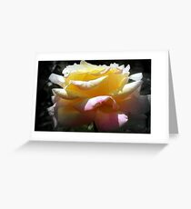 Dreaming of Summer Greeting Card