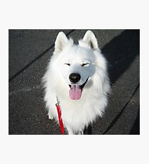 That Sammy Smile Photographic Print