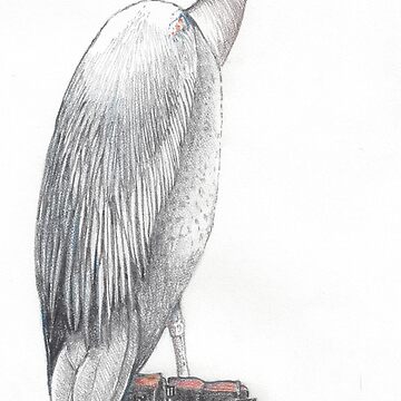 Artwork thumbnail, Great blue heron in galoshes by JimsBirds
