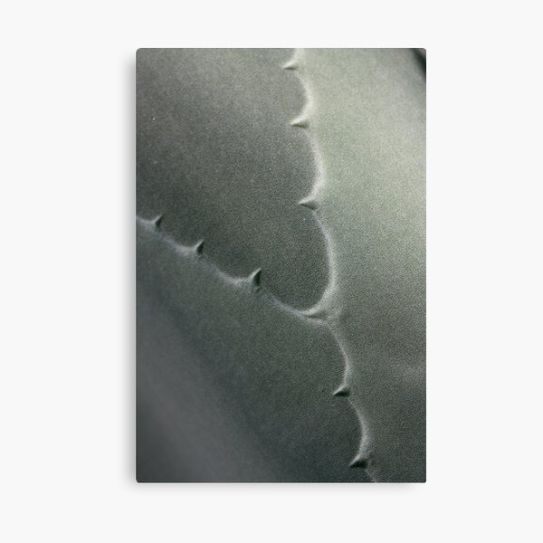 carved Y Canvas Print