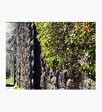 Harsimus Branch Embankment, Abandoned Pennsylvania Railroad Embankment, Jersey City, New Jersey Photographic Print