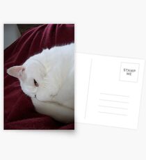 Galadriel 2 Postcards