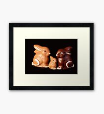Adoption Framed Print
