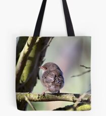 ~ Baby Blue ~ Tote Bag