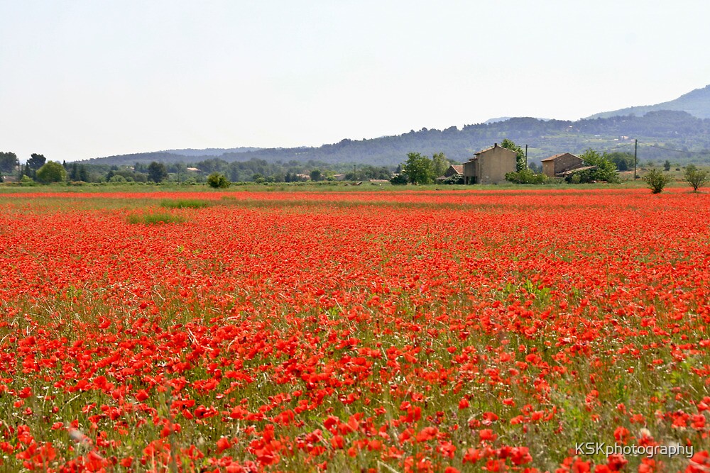 "Poppies a field Southern France" by KSKphotography Redbubble