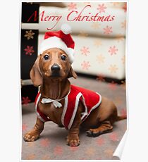 Merry Christmas Sausage Dog Poster