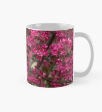 Taza clásica Branch of Blooming Apple Tree