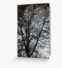 Between Heaven and Earth Greeting Card