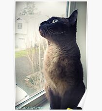 Nini Poster