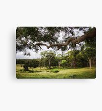 Untitled Canvas Print