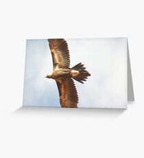 under carrage Greeting Card