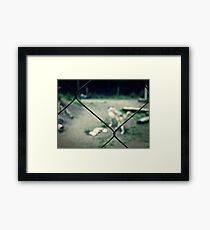 Fence Framed Print