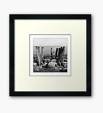 Cape Arkona Framed Print