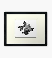 Walleye Framed Print