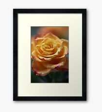 75 years ago: great hit "Autumn Roses", tango . F E A T U R E D in Superbly Visual. Framed Print