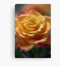 75 years ago: great hit "Autumn Roses", tango . F E A T U R E D in Superbly Visual. Canvas Print