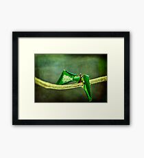 Premature (We're just two lost souls) Framed Print