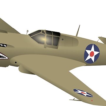 Artwork thumbnail, WW2 P-40 Warhawk Airplane by NorseTech
