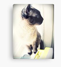 Nini 2 Metal Print