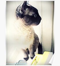 Nini 2 Poster
