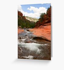 Slip Sliding Away Greeting Card