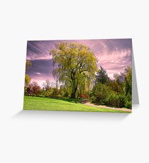 Weeping Willow Tree Greeting Card