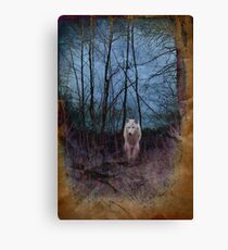 Dark Forest And The Ghost Wolf Leinwanddruck