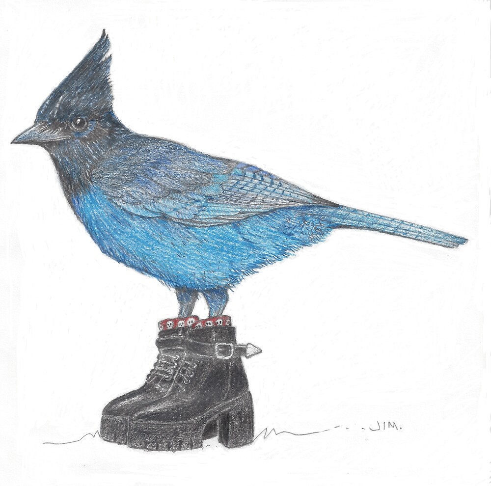 blue jay in punk boots by JimsBirds