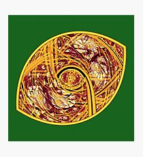 Redskin Football Photographic Print