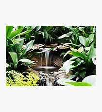 water feature at Fitzroy gardens Photographic Print