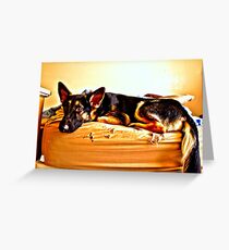 German Shepherd. Greeting Card