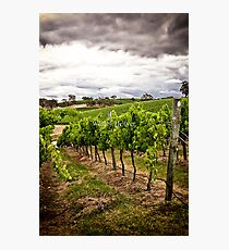 Longview. Photographic Print