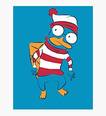 Where's Perry? Photographic Print