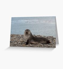 Puppy Love Greeting Card