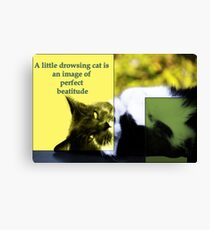 Drowsing Cat Canvas Print