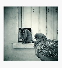 Dessert ? Photographic Print
