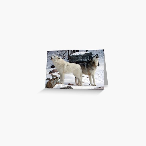 Howling Good Time Greeting Card