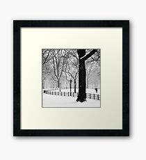 Central Park Walker Framed Print
