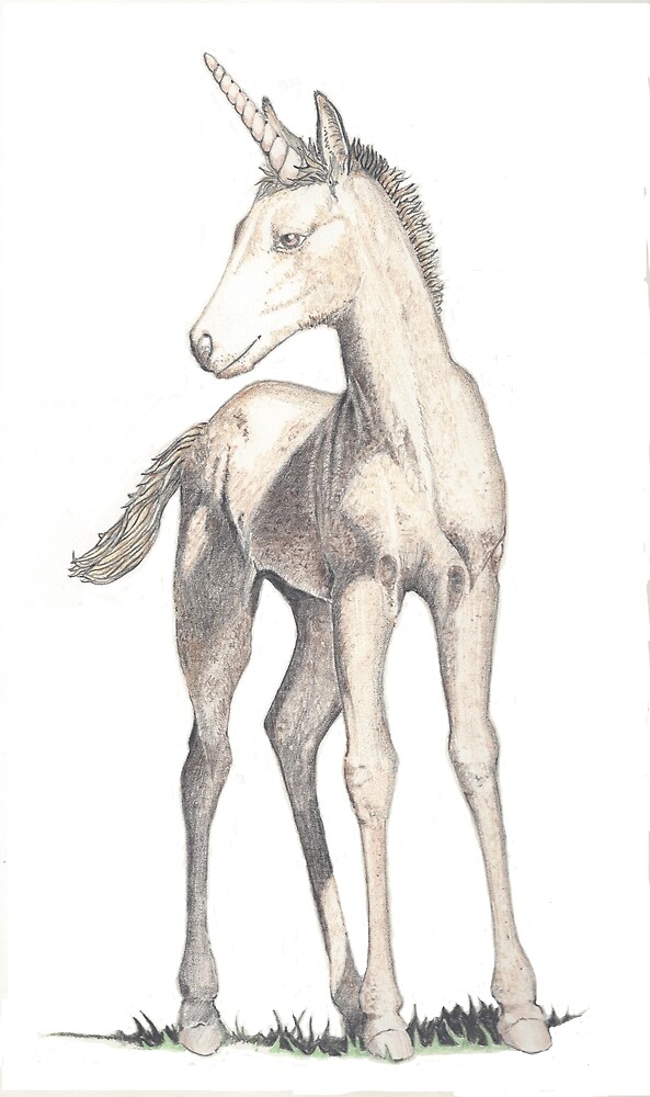 Unicorn colt by JimsBirds