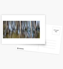Silvery reflections Postcards