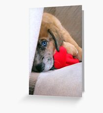 Travis' New Puppy Greeting Card